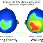 Image of brain activity after sitting and after walking.